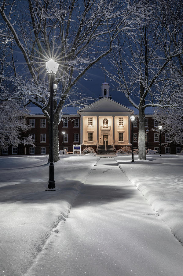 Blue Hour Snow at Pineland Photograph by Colin Chase