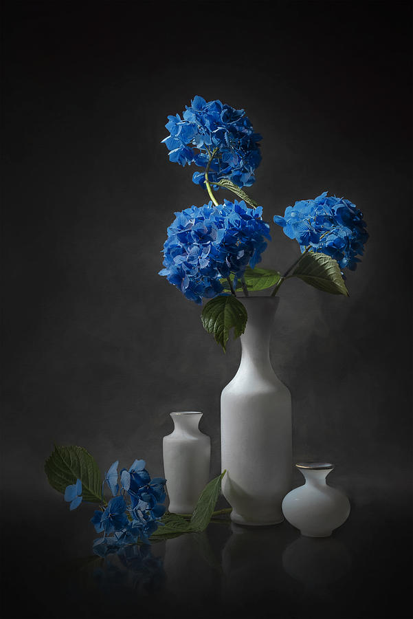 Flower Photograph - Blue Hydrangea by Lydia Jacobs