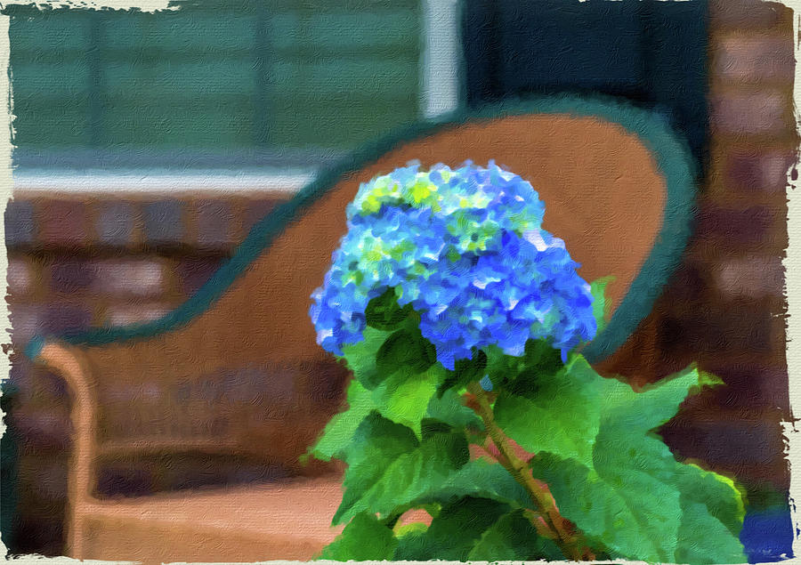 Blue Hydrangea on Porch Photograph by Darryl Brooks