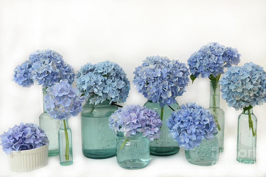 Blue Hydrangeas in Aqua Blue Mason Jars - Shabby Chic Hydrangeas Bottle Print Photograph by Kathy Fornal