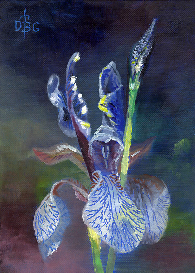 Blue Iris Painting by David Bader