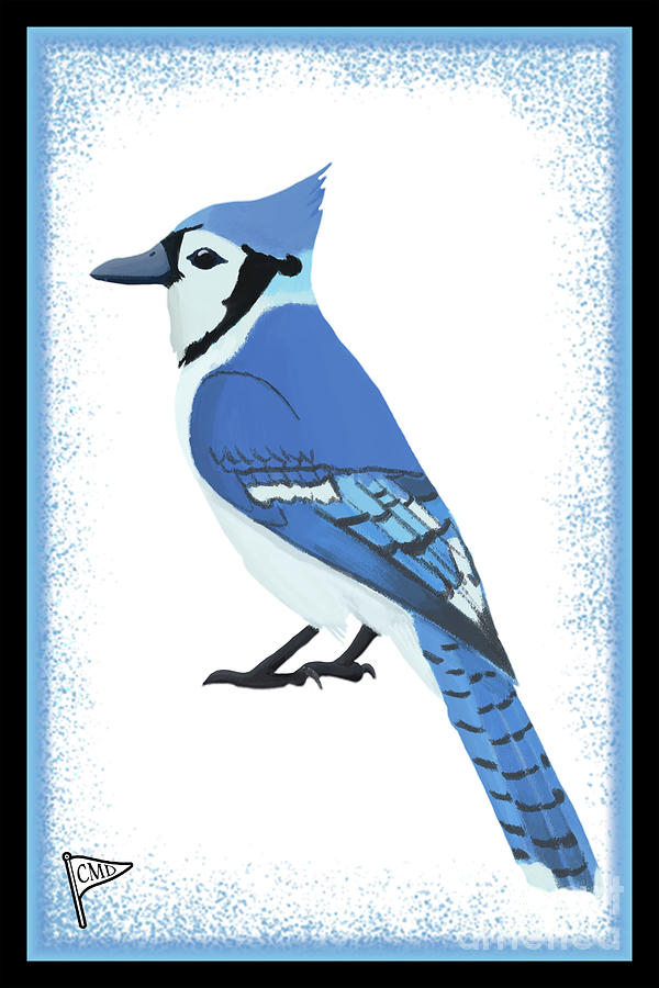 Blue Jay Digital Art - Blue Jay by College Mascot Designs