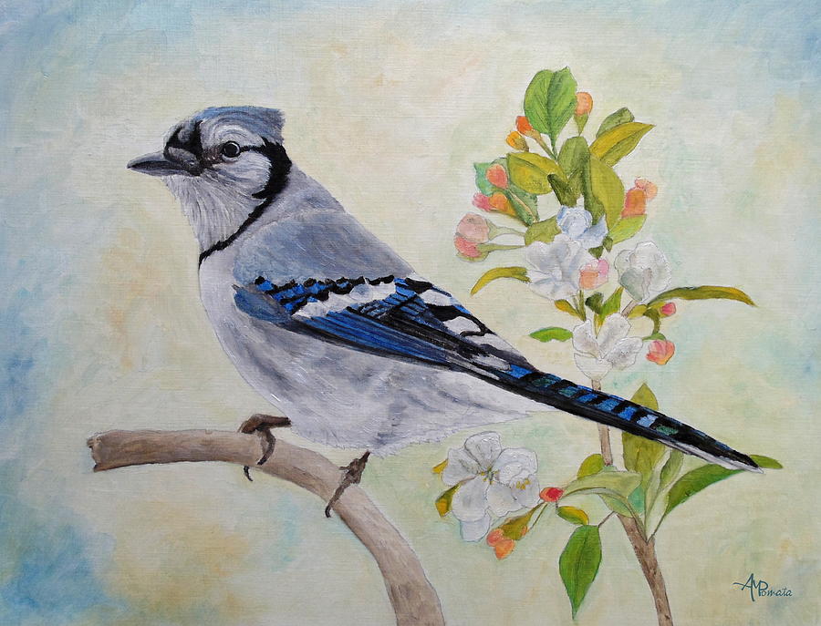 Blue Jay Painting - Blue Jay Among Apple Blossoms by Angeles M Pomata