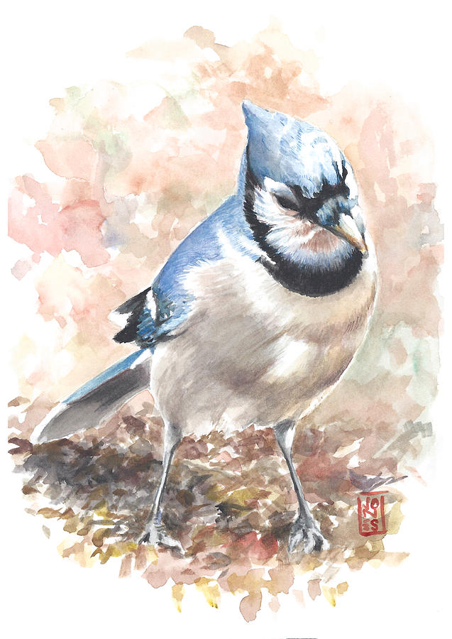 Wildlife Painting - Blue Jay by Debra Jones