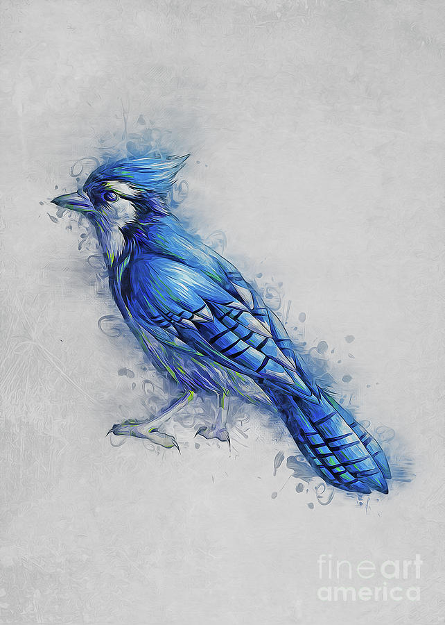 Blue Jay Digital Art by Ian Mitchell