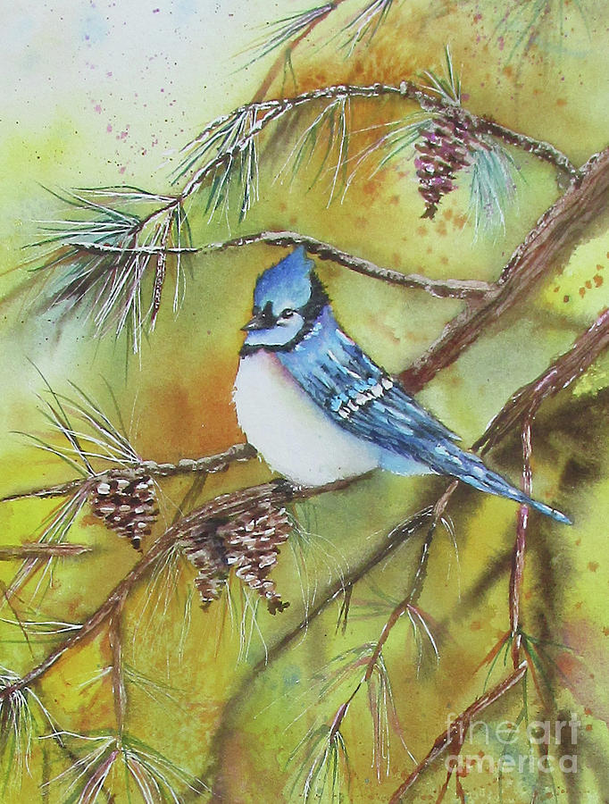 Blue Jay In The Pines Painting