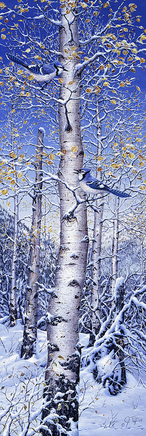 Blue Jay Painting by Jeff Tift