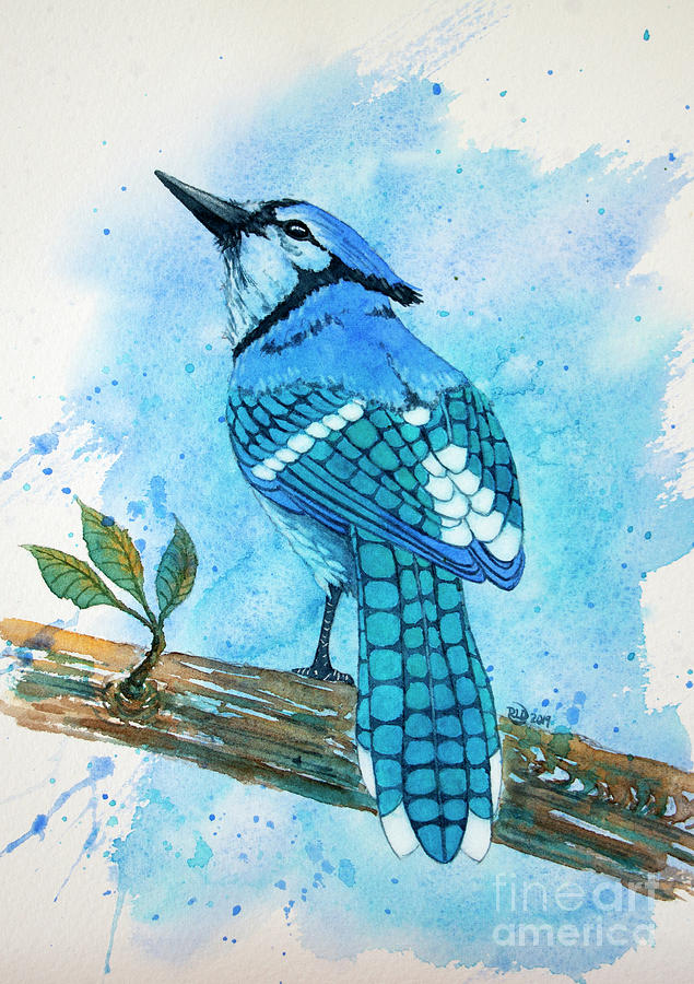 Blue jay Painting by Rebecca Davis