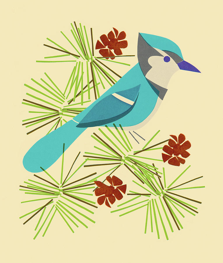 Blue Jay Drawing - Blue Jay Sitting on Branch by CSA Images