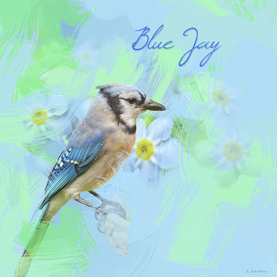 Blue Jay Watercolor Photo with Forget Me Nots Photograph by Hermes Fine Art
