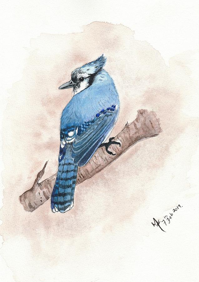 Blue Jay Watercolour Painting by Martina Fagan
