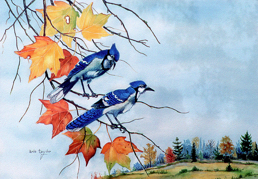 Fall Painting - Blue Jays by Arie Reinhardt Taylor