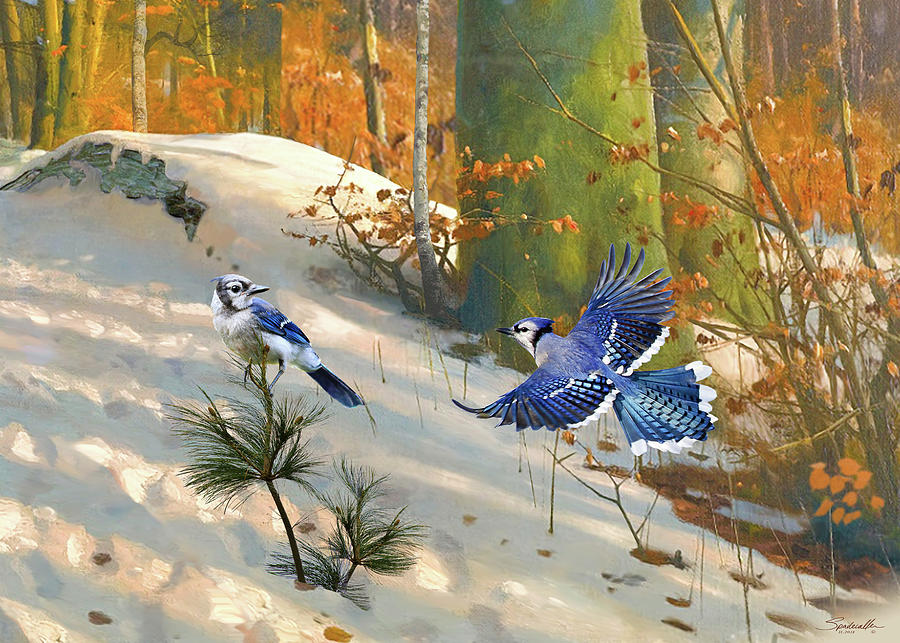 Blue Jay Digital Art - The Blue Jay by M Spadecaller