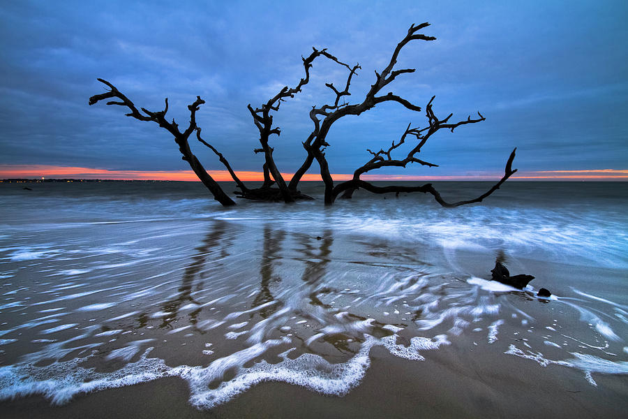 Blue Lace Photograph by Debra and Dave Vanderlaan