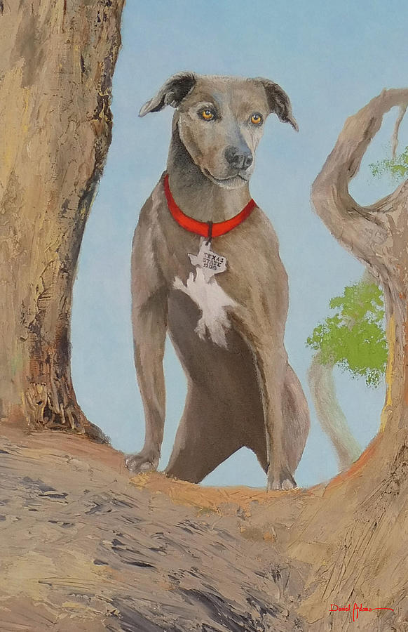 Blue Lacy Official State Dog of Texas Painting by Daniel Adams