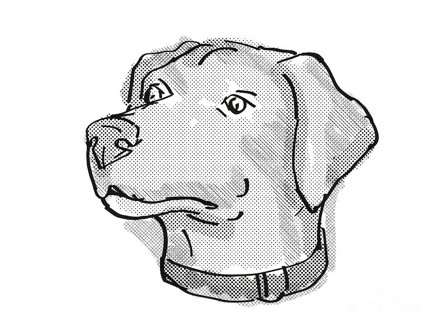 Blue Lacy Dog Breed Cartoon Retro Drawing Digital Art