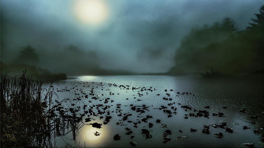 Blue Lagoon Photograph by Jon Exley
