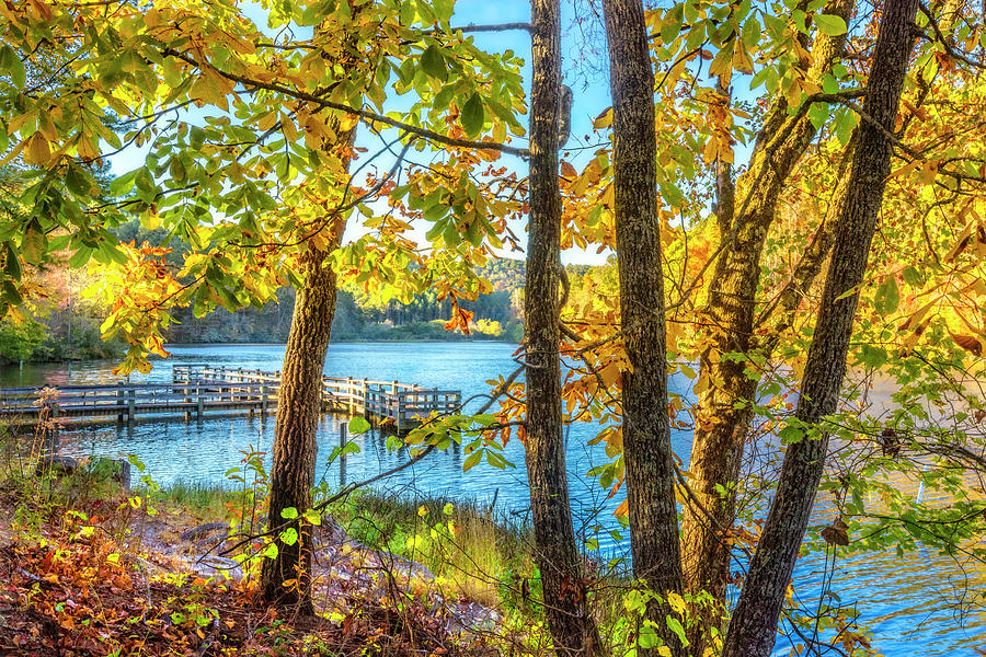 Blue Lake in Autumn Photograph by Debra and Dave Vanderlaan
