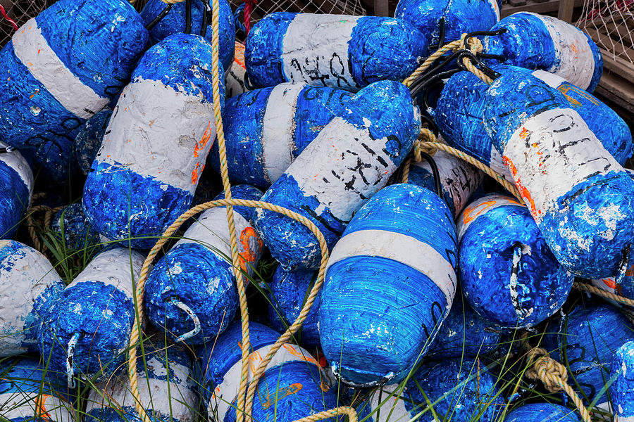 Blue Lobster Buoys  Photograph by Jurgen Lorenzen