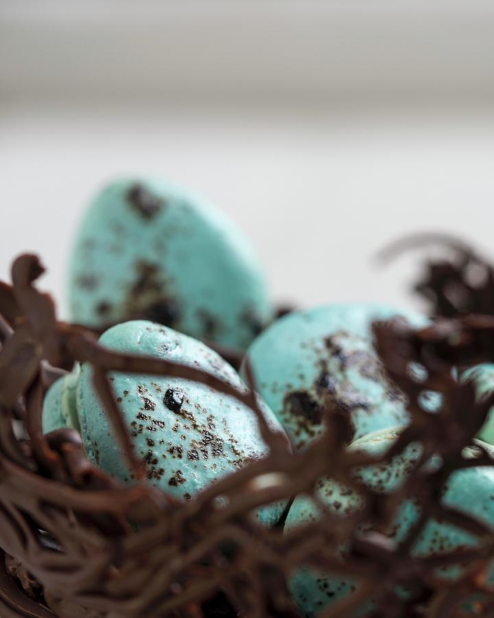 Blue Macarons In A Chocolate Nest Photograph by Farrell Scott
