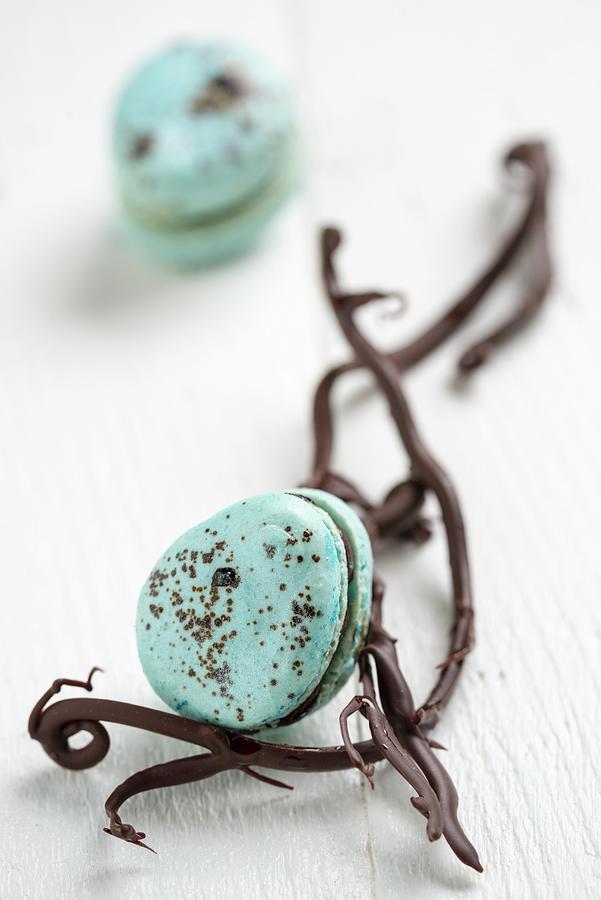 Blue Macarons With Chocolate Twigs Photograph by Farrell Scott