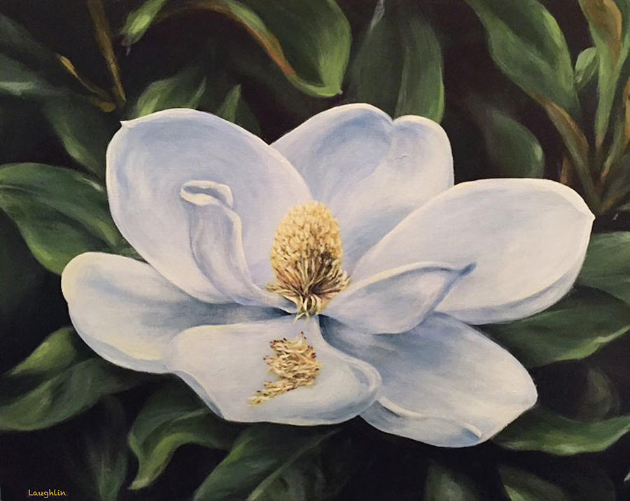 Blue Magnolia 5 Painting by David Laughlin - Fine Art America