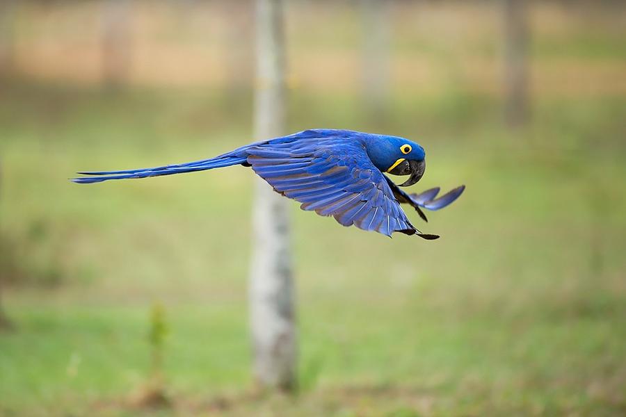 Nature Photograph - Blue by Marco Pozzi