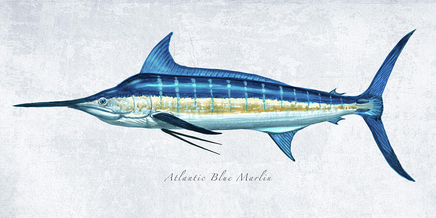 Blue Marlin Painting - Blue Marlin Portrait by Guy Crittenden