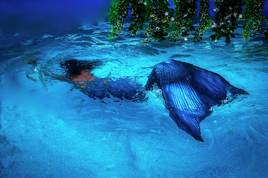 Mermaid Photograph - Blue Mermaid by Garry Gay