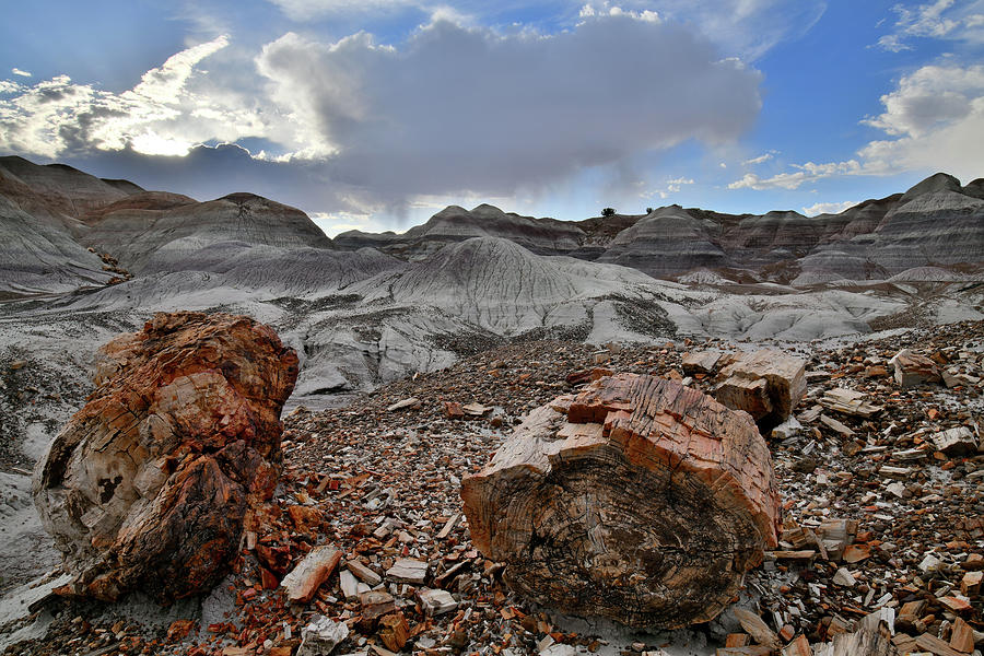 Blue Mesa Sunset in Petrified Forest NP Photograph by Ray Mathis