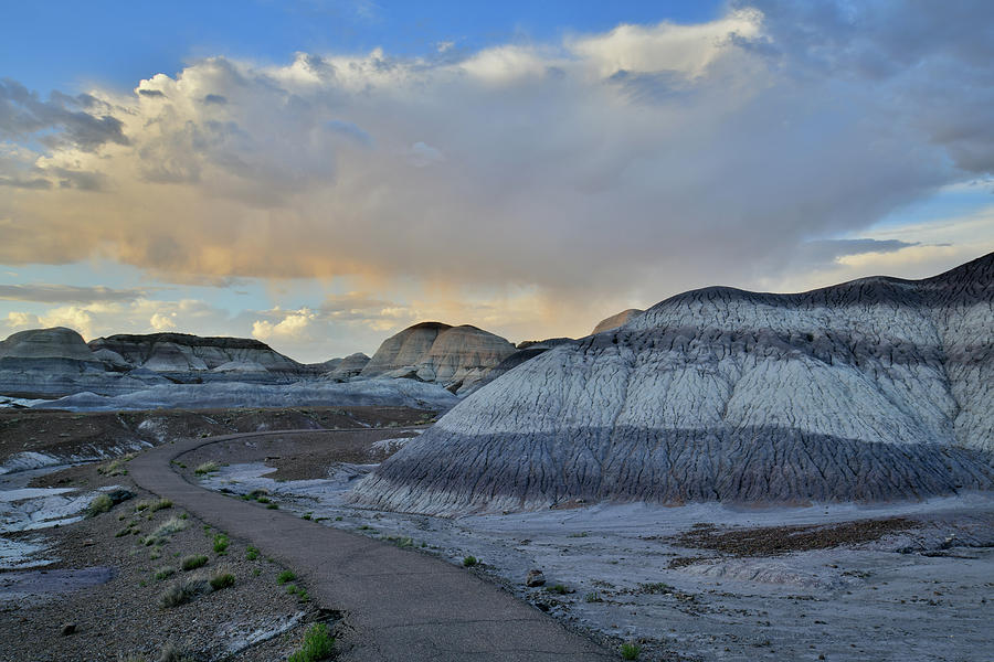 Blue Mesa Trail at Sunset in Petrified Forest NP Photograph by Ray Mathis