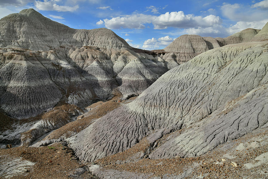 Blue Mesa Trail in Petrified Forest Photograph by Ray Mathis