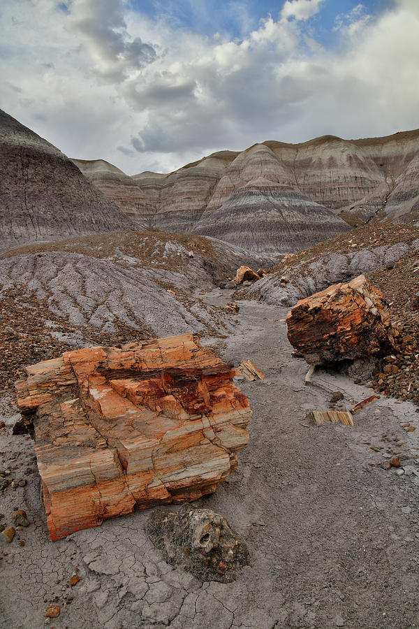 Blue Mesa Wash in Petrified Forest Photograph by Ray Mathis