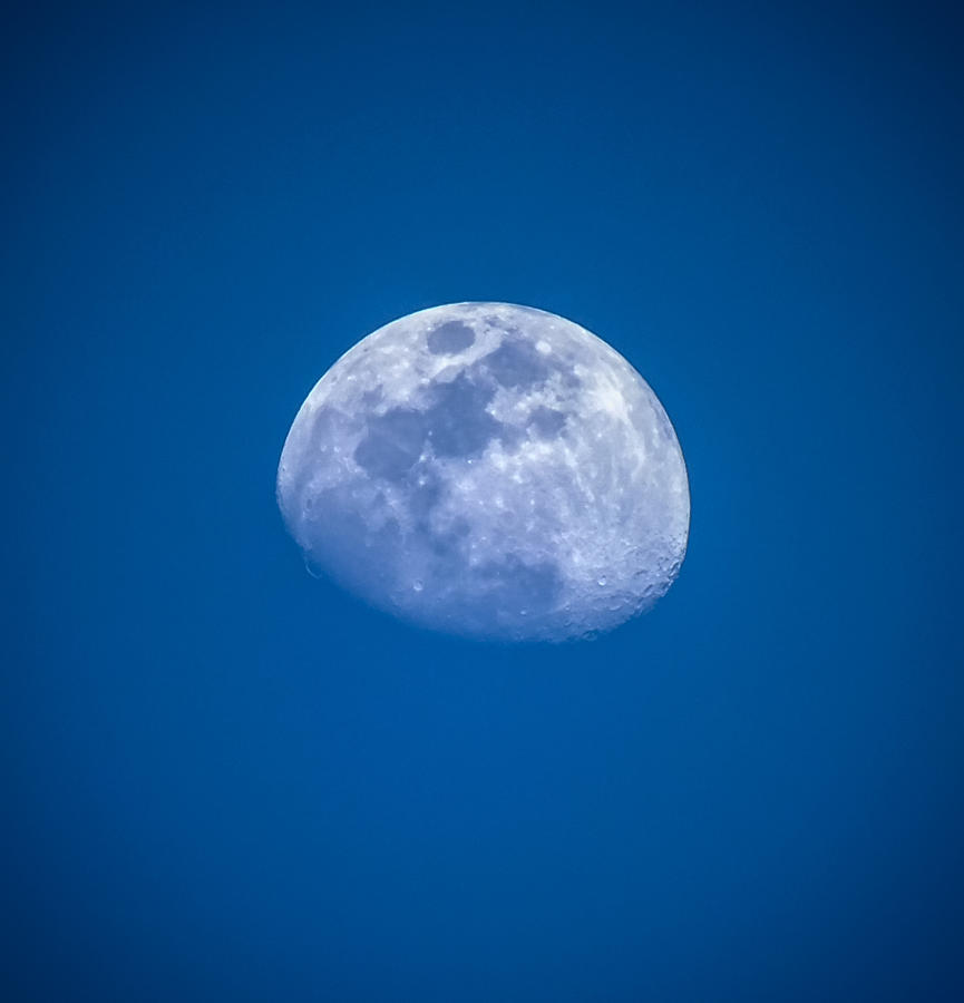 Blue Moon Photograph by Karen Wiles