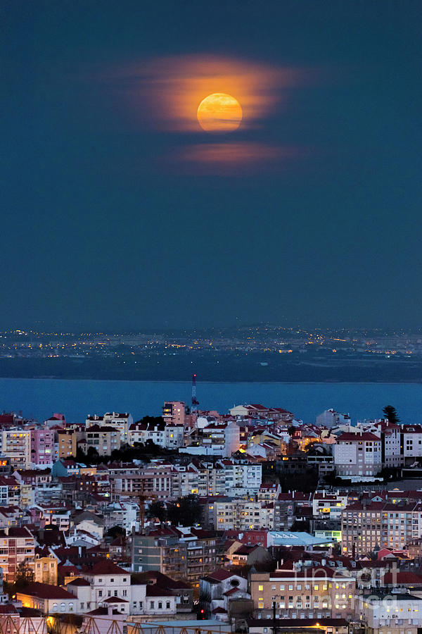 Blue Moon Rising Over Lisbon Photograph by Miguel Claro/science Photo Library