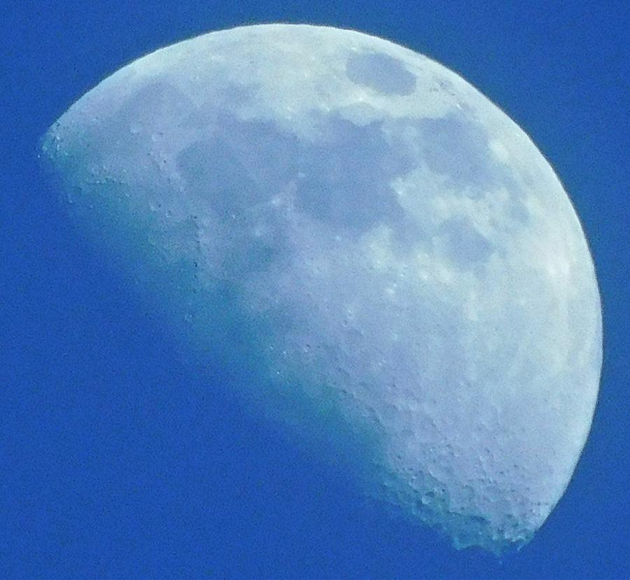 - Blue Moon Photograph by THERESA Nye