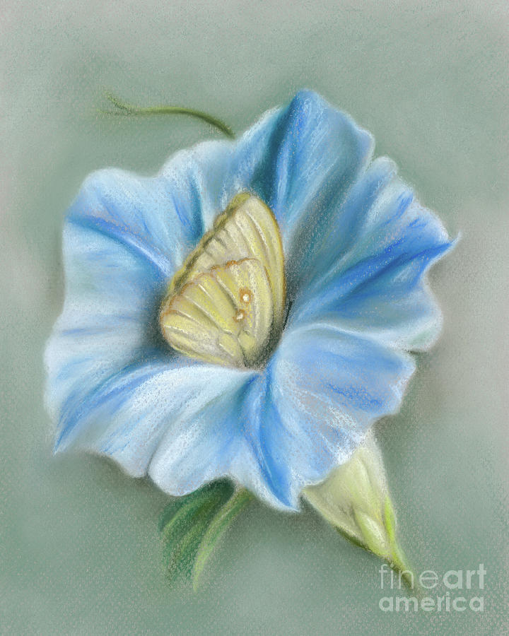 Blue Morning Glory with Yellow Butterfly Painting by MM Anderson