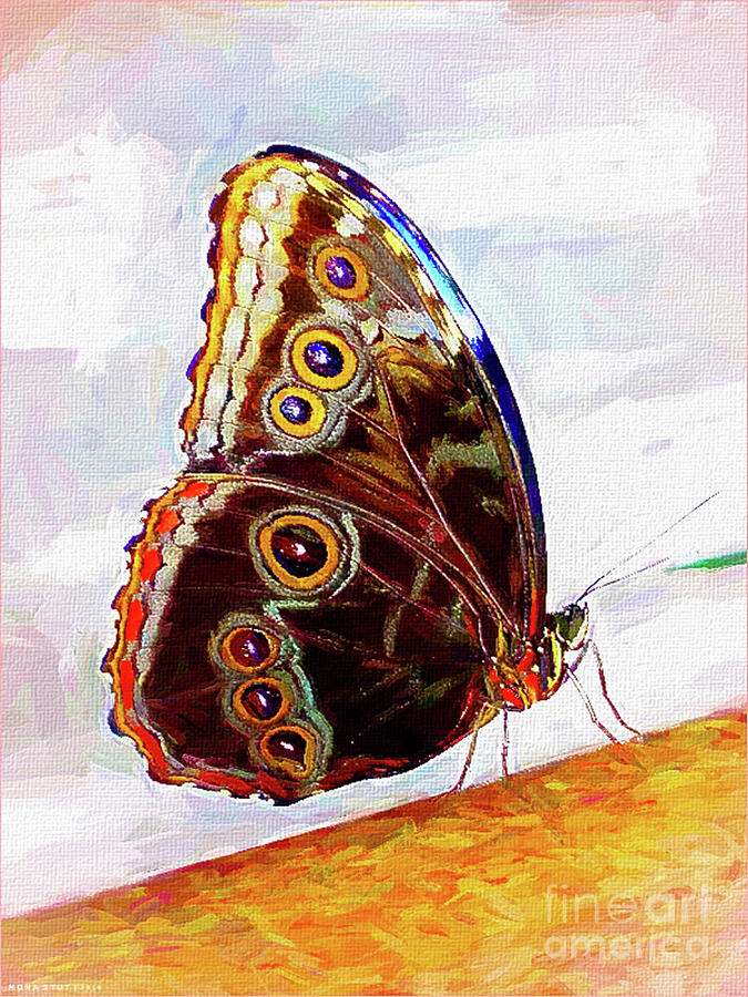 Blue Morpho Butterfly Digital Art by Mona Stut