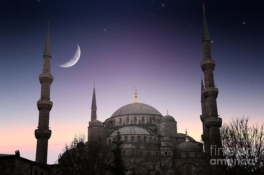 Blue Mosque Istanbul Turkey Photograph by Plusone