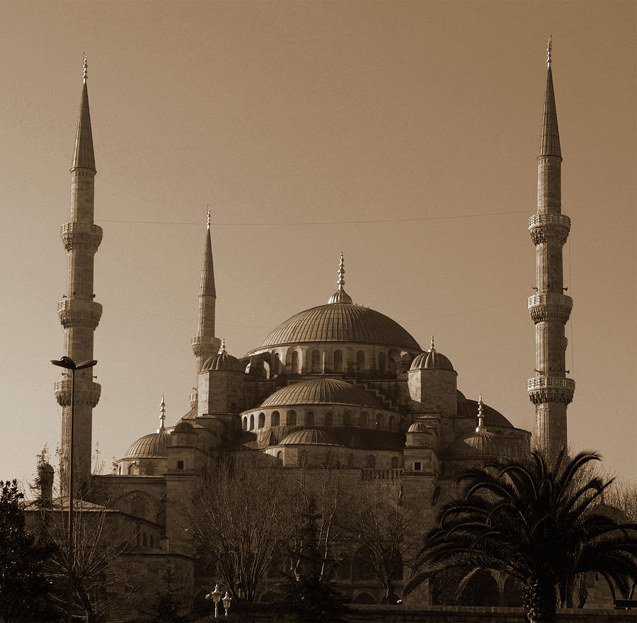 Blue Mosque Photograph by T-lorien