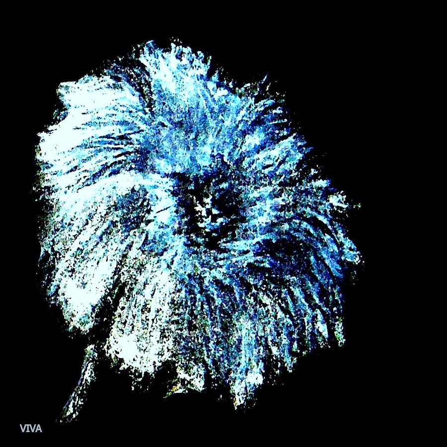 Blue Mum study by VIVA Anderson Blue Mum study by VIVA Anderson