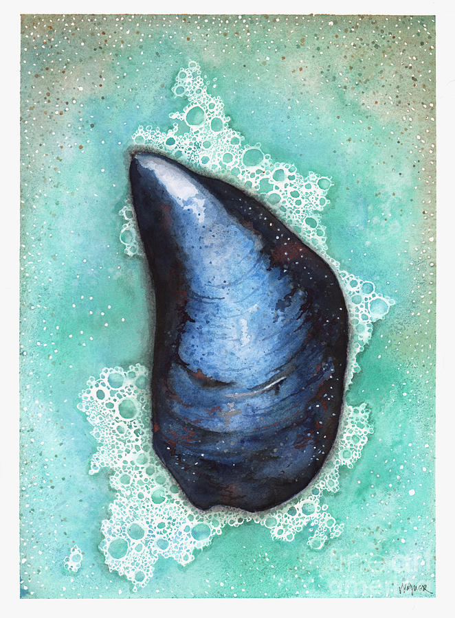 Blue Mussel Painting by Hilda Wagner Blue Mussel Painting by Hilda Wagner