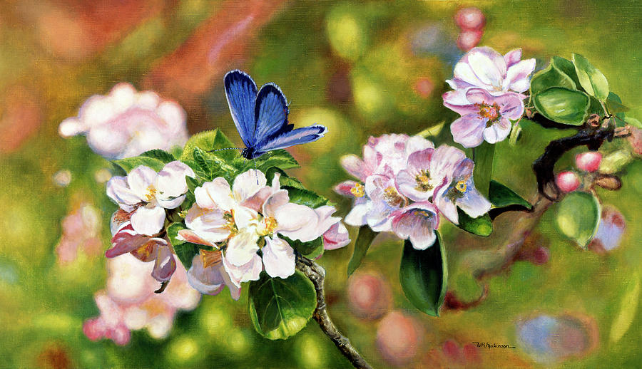 Flowers And Butterfly Painting - Blue On Pink by Bill Makinson