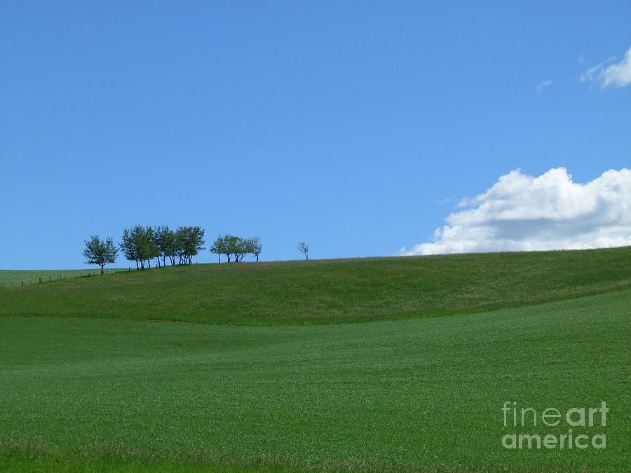 Blue Over A Green Field - C001 Photograph by Jor Cop Images