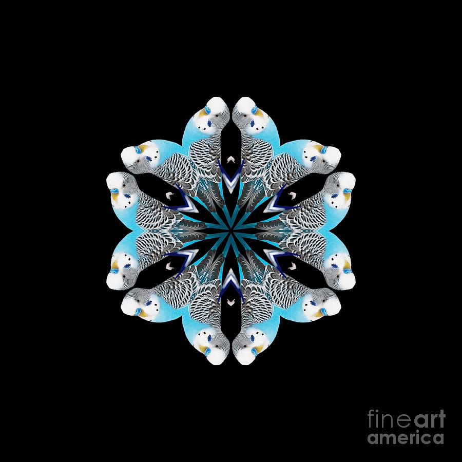 Blue Parakeet Mandala Digital Art by Rachel Hannah