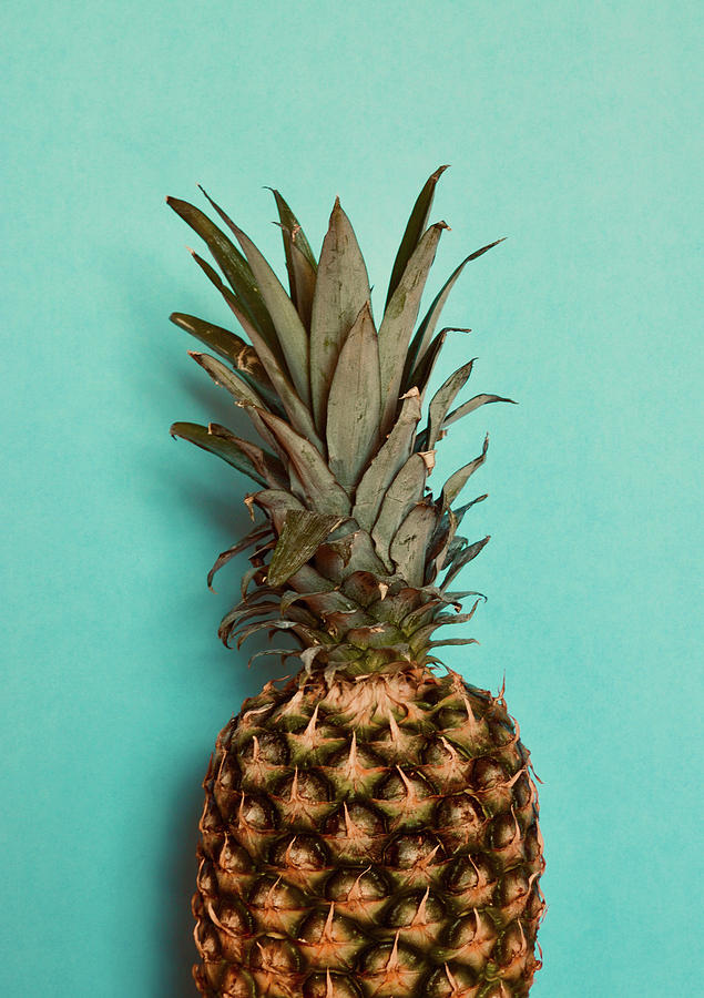 Blue Pineapple Photograph by Ashley Singleton - Fine Art America