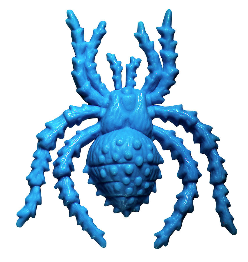 Spider Drawing - Blue Plastic Spider by CSA Images