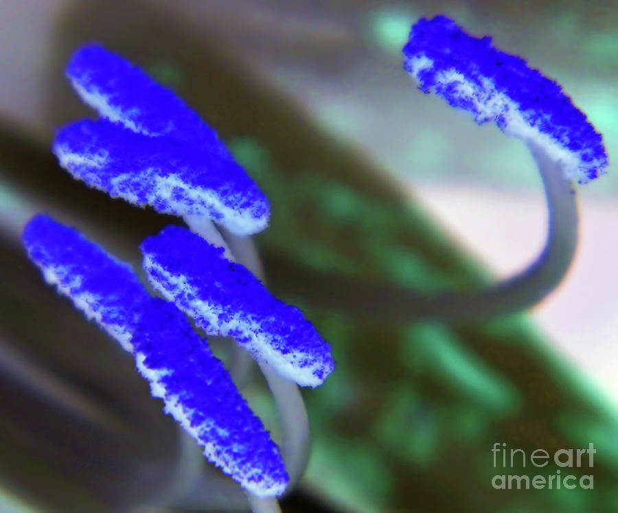 Blue Pollen Digital Art by D Hackett