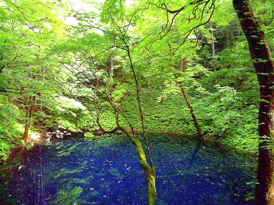 Blue Pond Photograph by The Landscape Of Regional Cities In Japan.