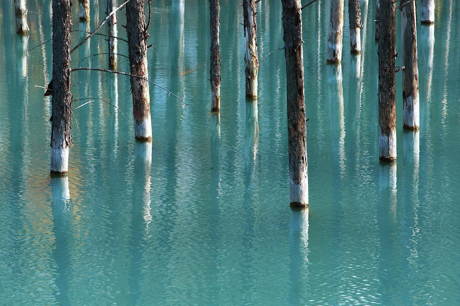 Blue Pond Photograph by Tsuntsun